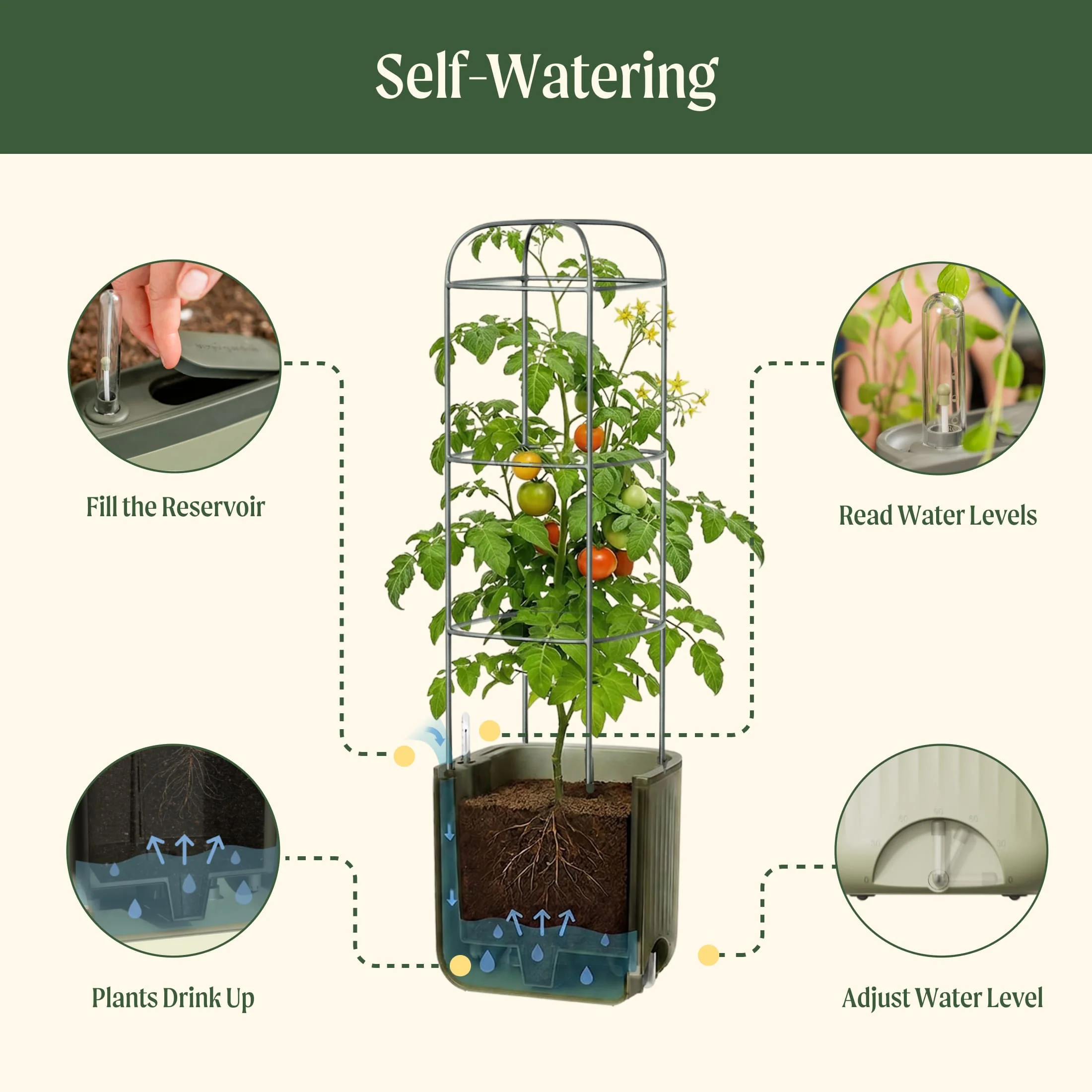 EZ Self-Watering Tomato Planter with Trellis Gen 2 - Image 3