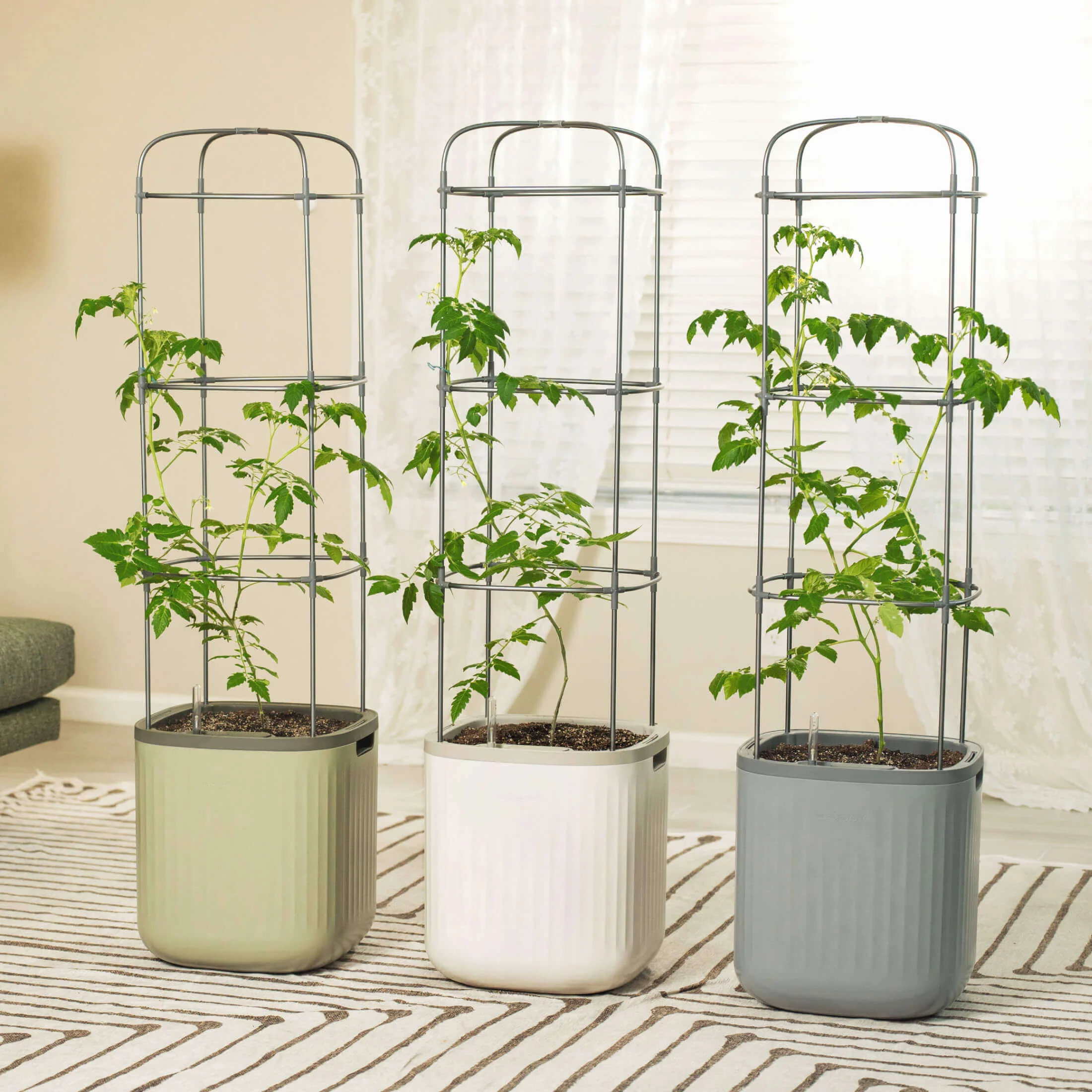 EZ Self-Watering Tomato Planter with Trellis Gen 1 - Image 11