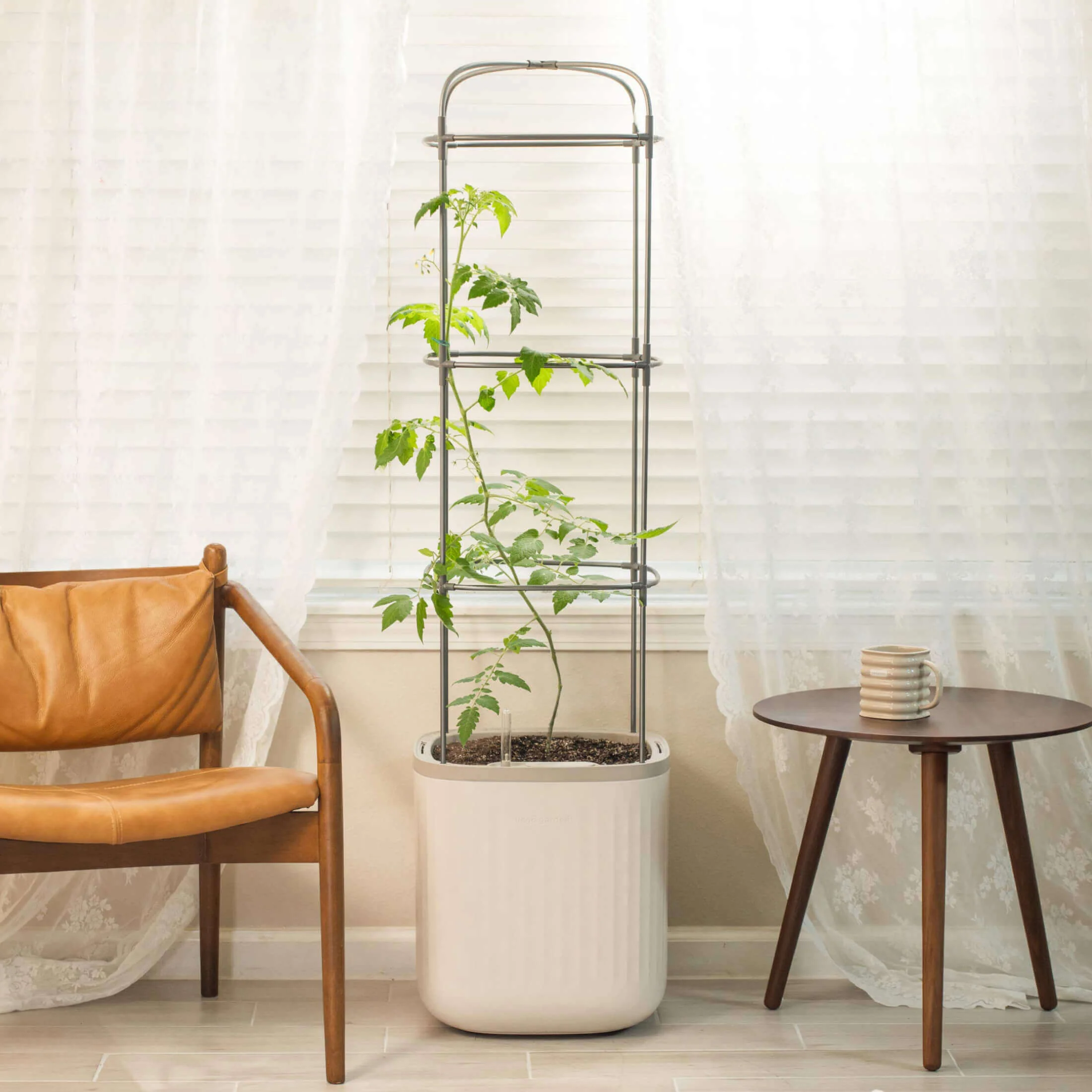EZ Self-Watering Tomato Planter with Trellis Gen 1 - Image 17