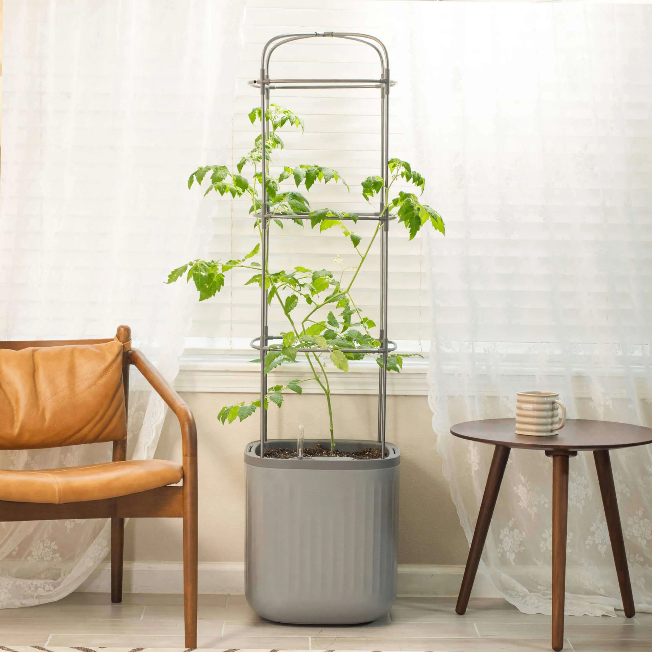 EZ Self-Watering Tomato Planter with Trellis Gen 1 - Image 19