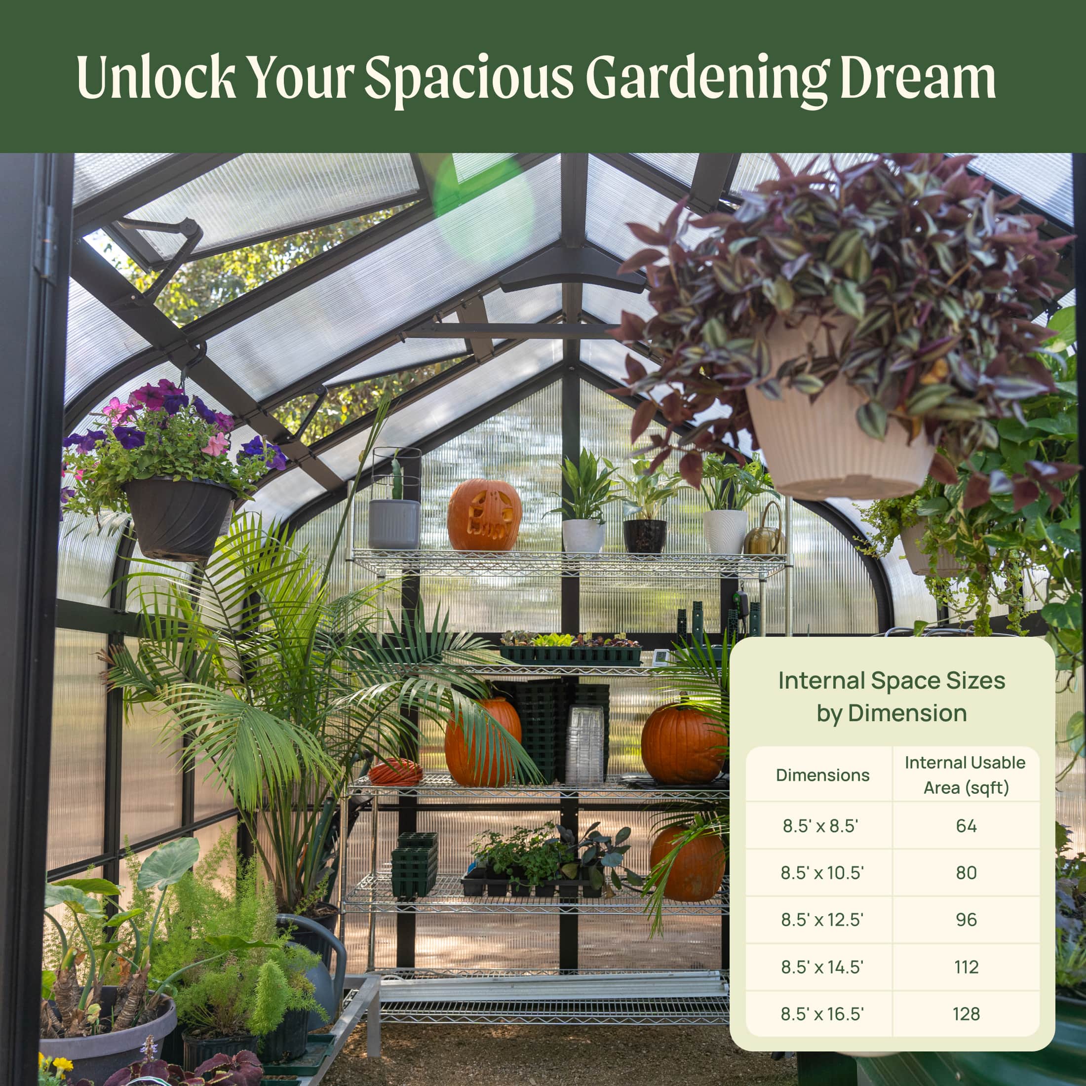 Vego Pacific Greenhouse - 8.5ft Wide - Image 9